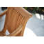 Palm Teak Patio Dining Chair