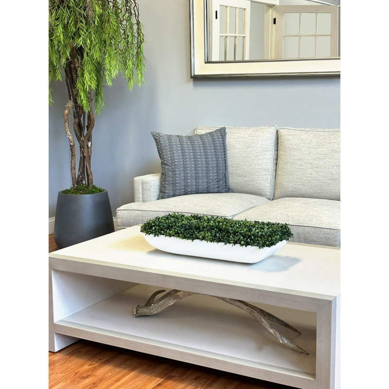 UV Rated Outdoor Boxwood Arrangement, 7" H x 26" W x 11" D, White