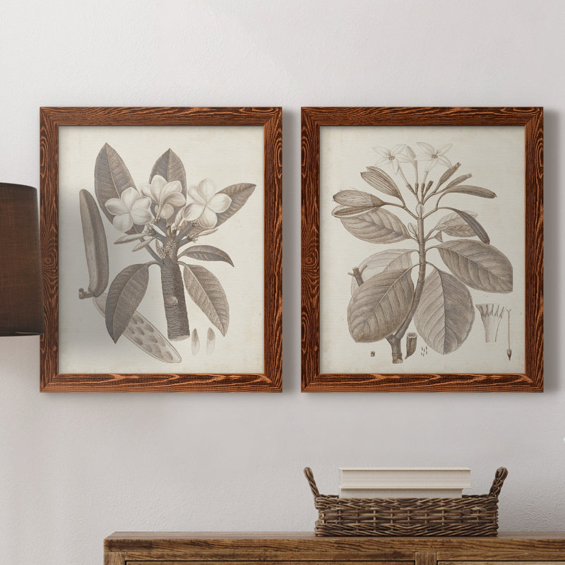 Antique sépia botanics VIIP, toile encadrée de qualité supérieure - prête à être accrochée, H 24 po x l 36 po x P 1,5 po