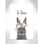 Le lapin est courage-48187578-48187580