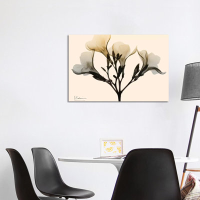 Oleander Dawn by Albert Koetsier - Wrapped Canvas Print