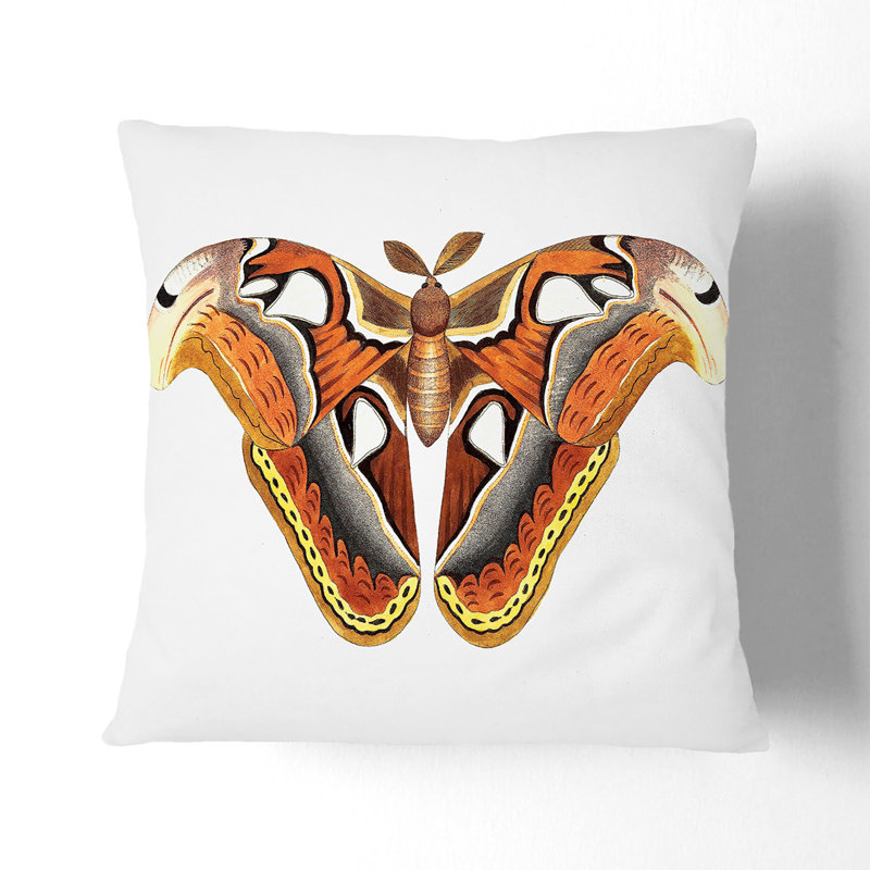 Square Throw Cushion, 55 x 55 cm