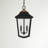 Burton Black/Distressed Copper 2 -Bulb 18.25" H Outdoor Hanging Lantern