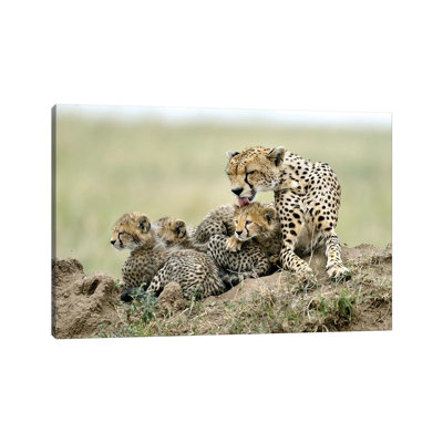 Cheetahs 1 Piece Wrapped Canvas Wall Art