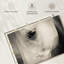 «White Horse Eye», reproduction sur toile-1535892782