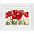 White Framed selected