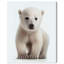 Ours polaire Braylea par Wynwood Studio-71918871
