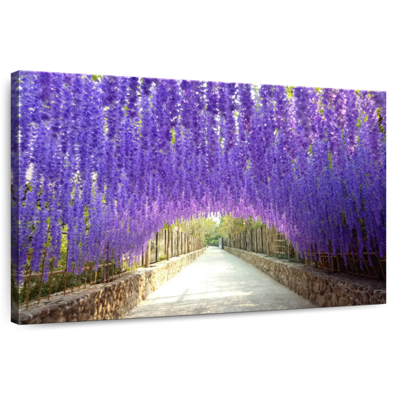 Harnek à travers le tunnel Wisteria, H 26 po x l 39 po