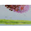 Teaching Of Zen Canvas