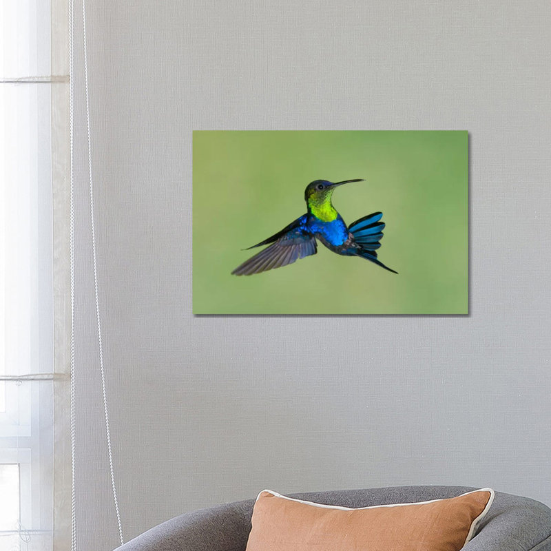 Chippy Origami II 1 Piece Wrapped Canvas Wall Art, 66.04 cm H x 45.72 cm W x 3.175 cm D
