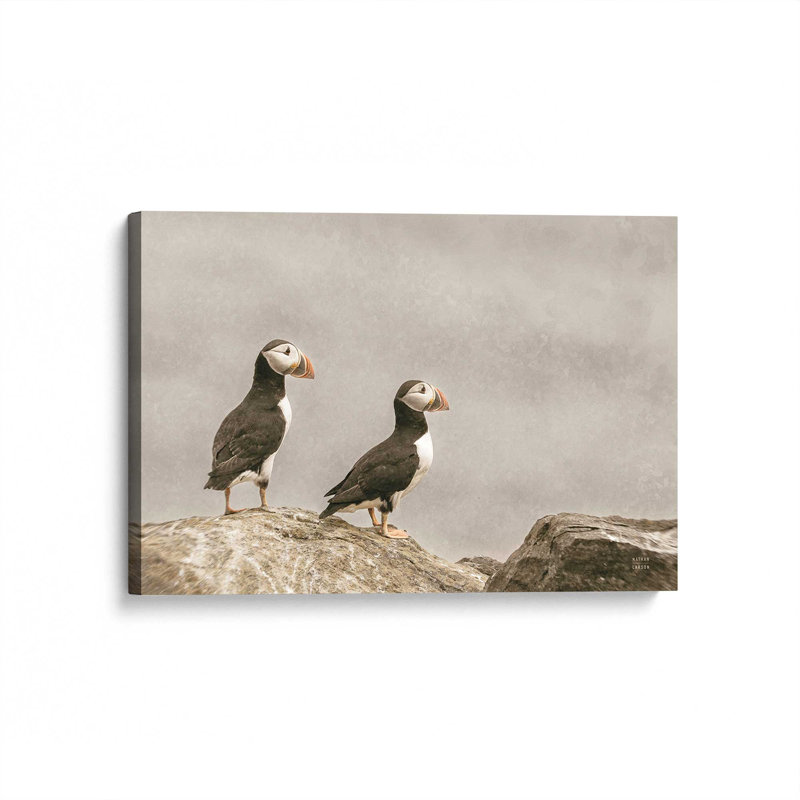 Reproduction d'art Atlantic Puffin pair par Nathan Larson, 12 W x 8 H, Does Not Apply, Unframed Canvas