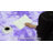 Blue Purple Rainbow 5X7 Fluffy Cute Area Rug, Mermaid Stitch Frozen Fuzzy Carpet, Plush Kawaii Furry Mat For Bedroom Girls Room Kids Room Playroom Nursery Dorm Baby Toddler-467819418-467819427