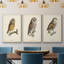 French Owls I - ensemble de 3 reproductions sur toile-91887000-91886999