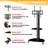 UD Single Screen Floor Stand Mount