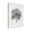 « rétro arbor study ii », reproduction de dessin sur toile tendue-2000682615