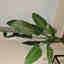 Customer photo 2 of 2