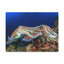 No Frame Print on Canvas-1548849973