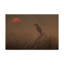 « a brand new day », reproduction de photo sur toile tendue-30318333