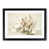 Black Framed selected