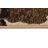 Strope Indoor Rug-90136109