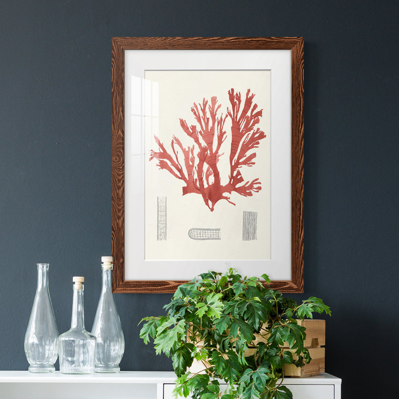 Cadre rétro vintage Coral Study IV de qualité supérieure - prêt à être accroché, H 44 po x l 31 po x P 1 po, Érable encadré