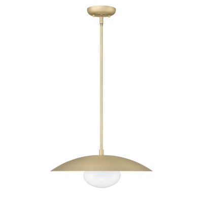 Luminaire suspendu simple à 1 lumière Del
