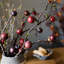 Tige de fruit de la passion-774514865