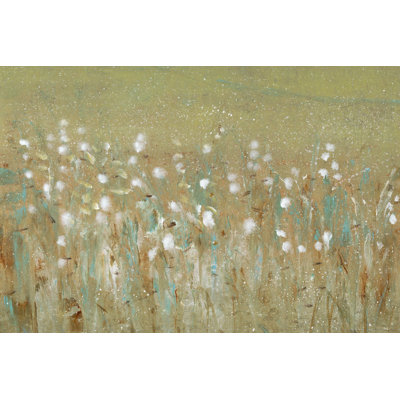 Meadow Blossoms II by Tim OToole - Wrapped Canvas Art Prints
