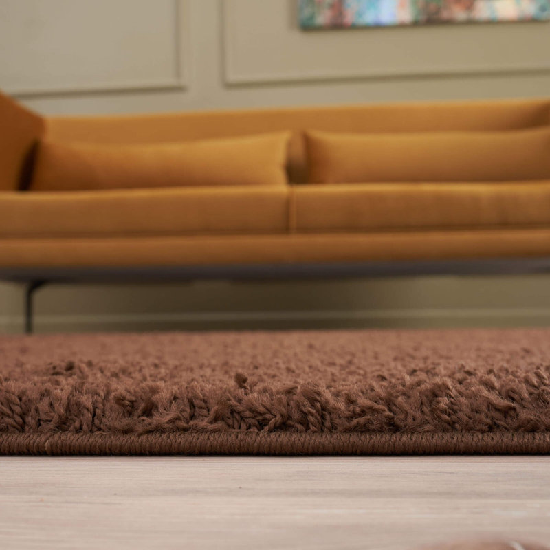 Myshaggy Collection Rugs Solid Design in Brown, Rectangle 160 x 230 cm