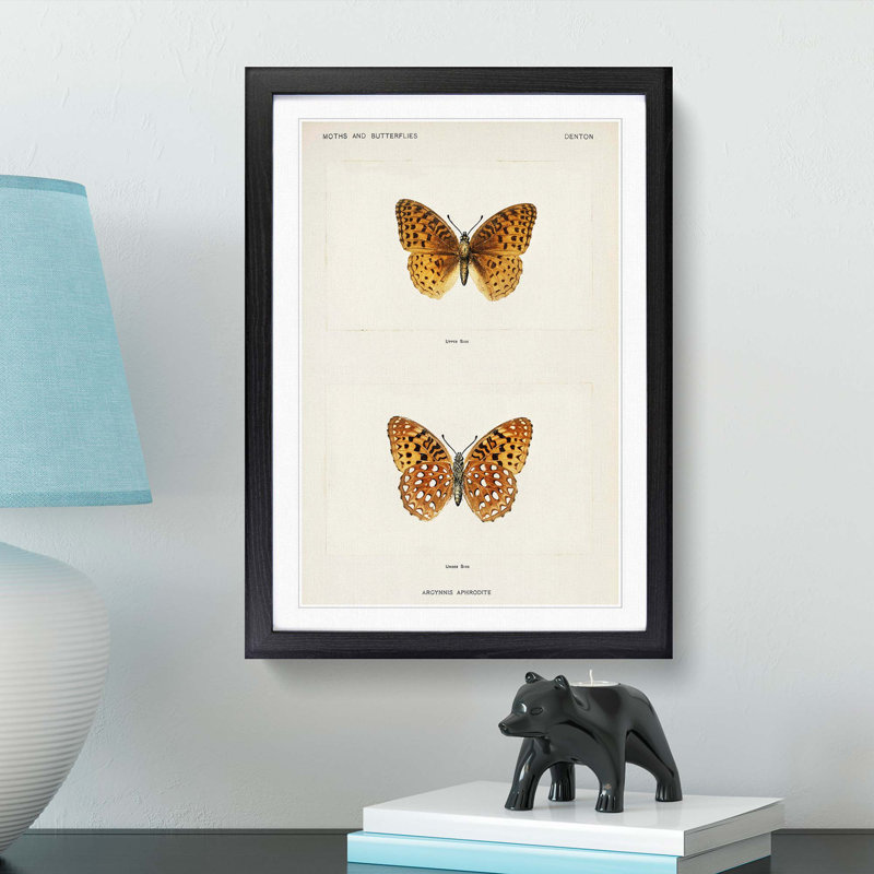 Aphrodite Fritillary Butterfly by S.F. Denton - Single Picture Frame Painting, 45cm H x 33cm W x 2cm D, Black Framed