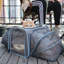 Chariots de voyage extensibles pour animaux de compagnie