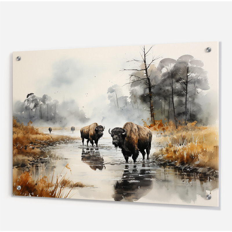«Grey Buffalo Misty Morning Grazing II», art mural acrylique Buffalo, H 30 po x l 40 po
