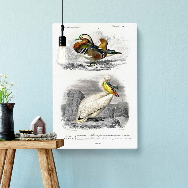 Duck & Pelican by Louis Renard - Wrapped Canvas, 60cm H x 40cm W x 3cm D