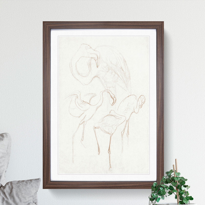 Flamingo Study by Theo Van Hoytema - Picture Frame Drawing, 90cm H x 65cm W x 2cm D, Walnut Framed