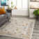 Hodder Oriental Indoor Rug