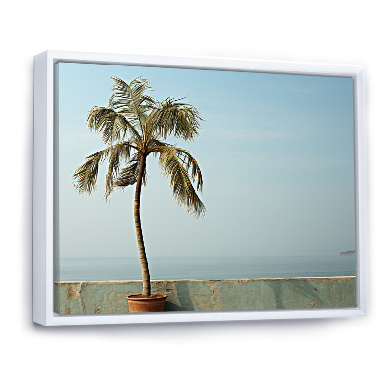 «Solitaire Palm Stand Tranquility I», reproduction sur toile, Cadre flottant blanc, H 24 po x l 32 po x P 1 po