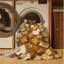  Tapis lavable Crackers Desserts-173985496