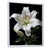 Cadre flottant blanc