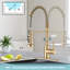 Eqloo Pull Down Kitchen Faucet