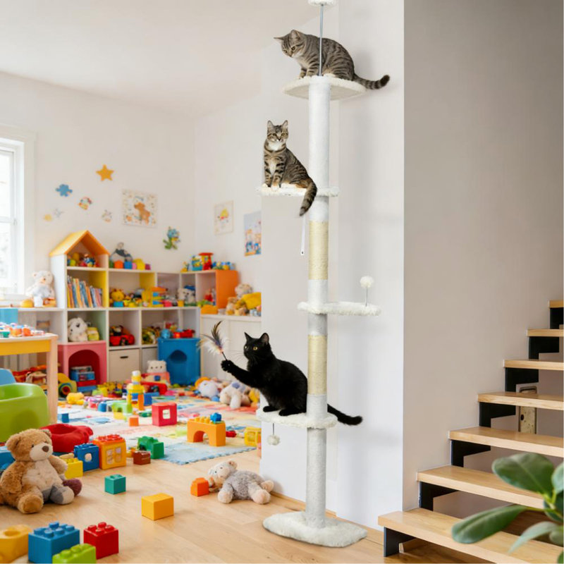 Arbre à chat, arbre à chat du sol au plafond
