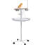 One-of-a-Kind 53.5 in. Bird for