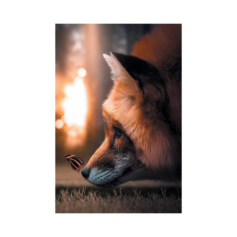 Fox Butterfly by Zenja Gammer - Print on Canvas, 20.32 cm H x 30.48 cm W, Wrapped Canvas