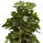 72'' Faux Fiddle Leaf Fig Tree in Planter