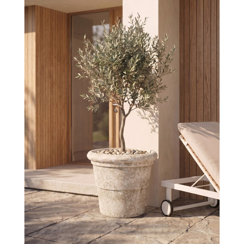 AEGEA Pot Planter