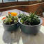 Ensemble de 3 pots à fleurs en plastique pour plantes avec trou de drainage Ginza Maison -115744815