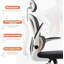 Canora Grey Fabric Task Chair-1684879445