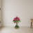 Bougainvillea Topiary with Wood Planter