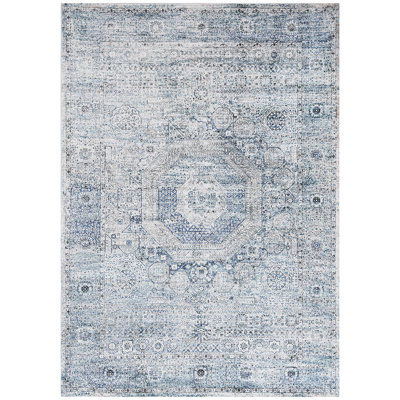 Oriental Area Rug in Blue