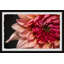 Diverse Dahlia - Single Picture Frame Painting-1784181373