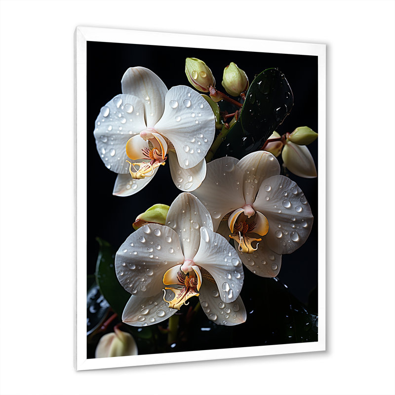 Orchidées blanches pétales d'élégance I, H 32 po x l 24 po x P 1 po, Cadre simple blanc